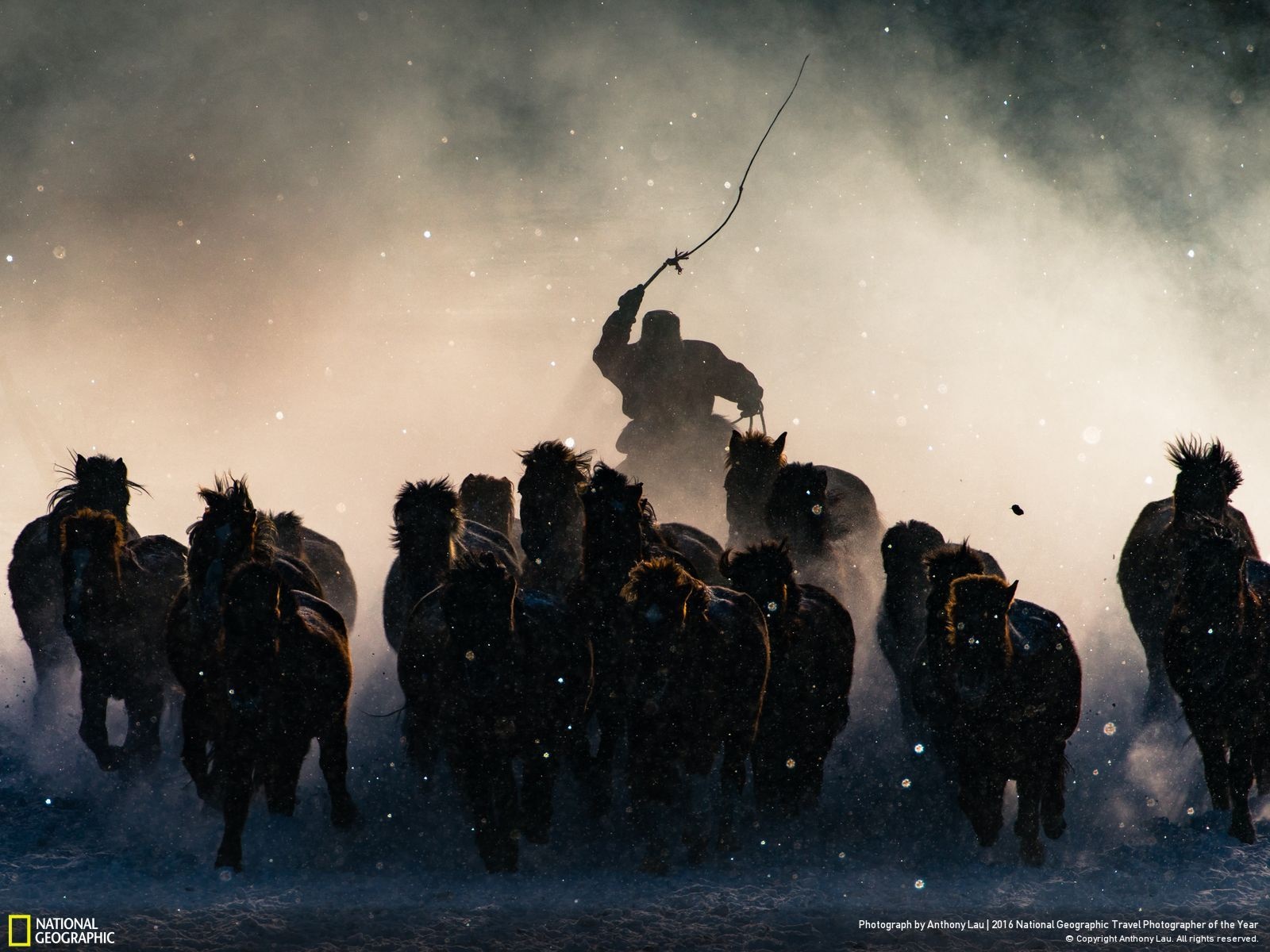 horseman