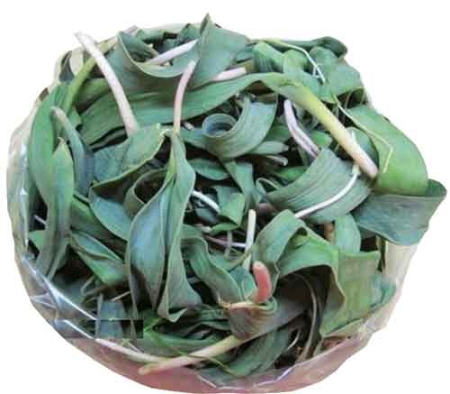 دوچرخه شماره ۸۳۰