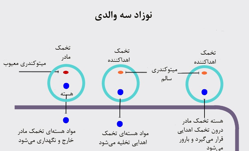 INFO