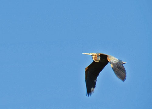 دوچرخه شماره ۸۳۲