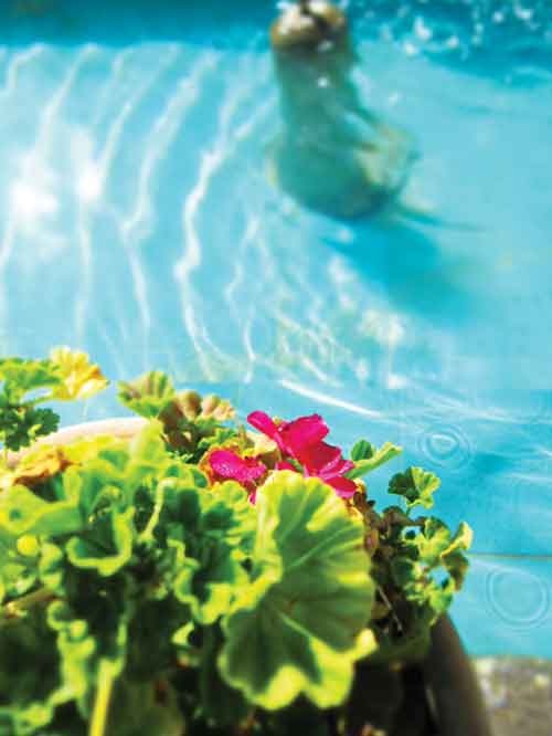 دوچرخه شماره ۸۳۰