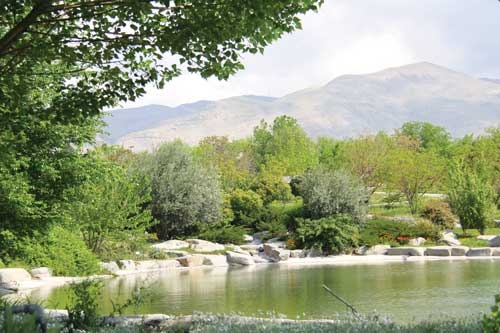 دوچرخه شماره ۸۲۸