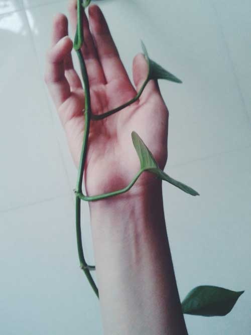 دوچرخه شماره ۸۳۰