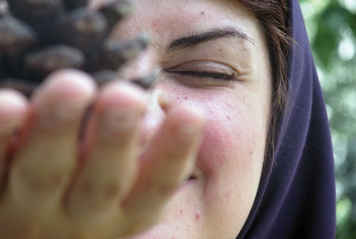 دوچرخه شماره ۸۳۴