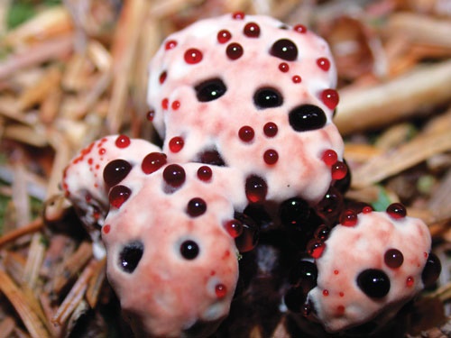 دوچرخه شماره ۸۵۳ دوچرخه شماره ۸۵۳