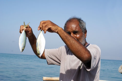 دوچرخه شماره ۸۲۲