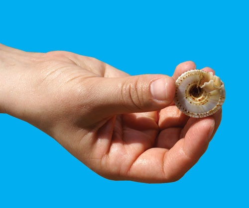 دوچرخه شماره ۸۲۲