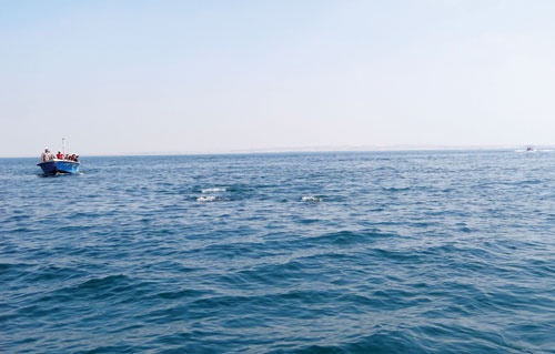 دوچرخه شماره ۸۲۲