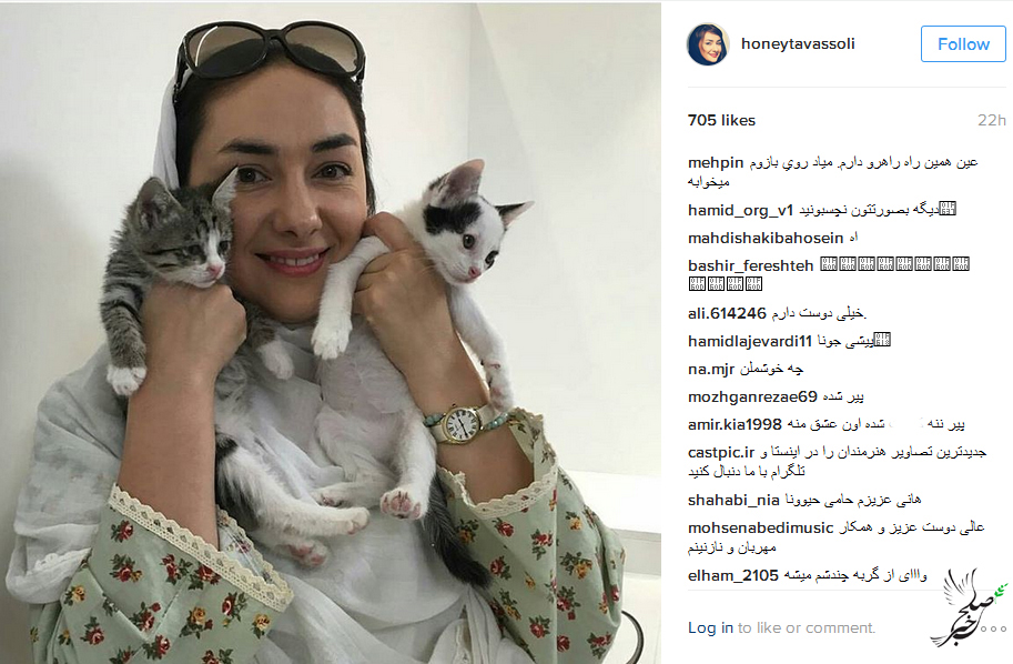 گربه های خانم بازیگر مشهور ایرانی هانیه توسلی