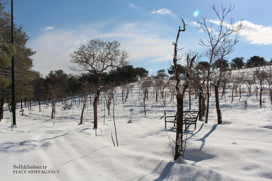 تصاویر بوستان چیتگر در زمستان