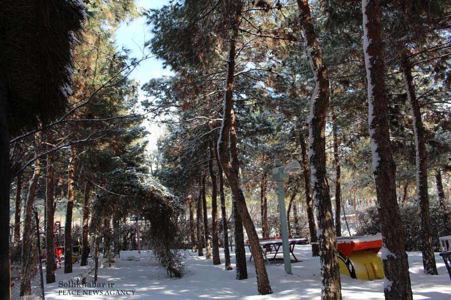 تصاویر بوستان چیتگر در زمستان