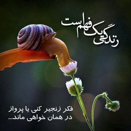 عکس پروفایل