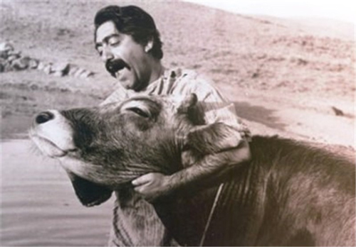 مروری بر کارنامه پنجاه ساله‌ی داریوش مهرجویی