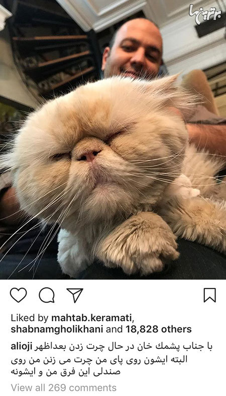 چهره ها در شبکه‌های اجتماعی (575)