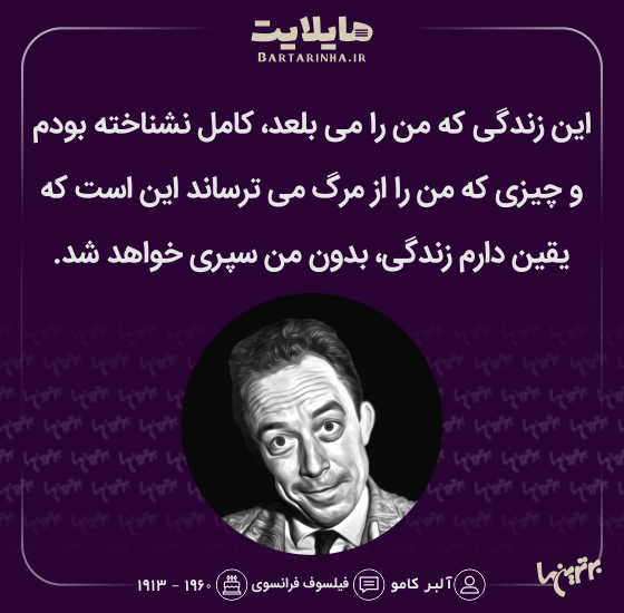 هایلایت (490) هایلایت (490)
