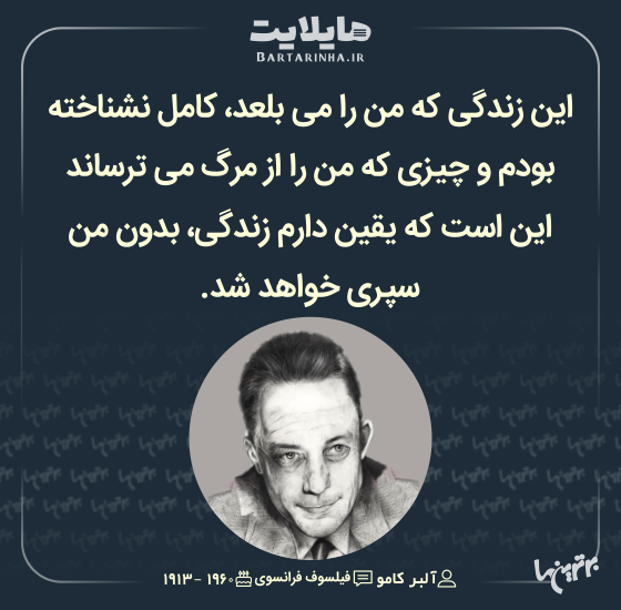 هایلایت (493) هایلایت (493)