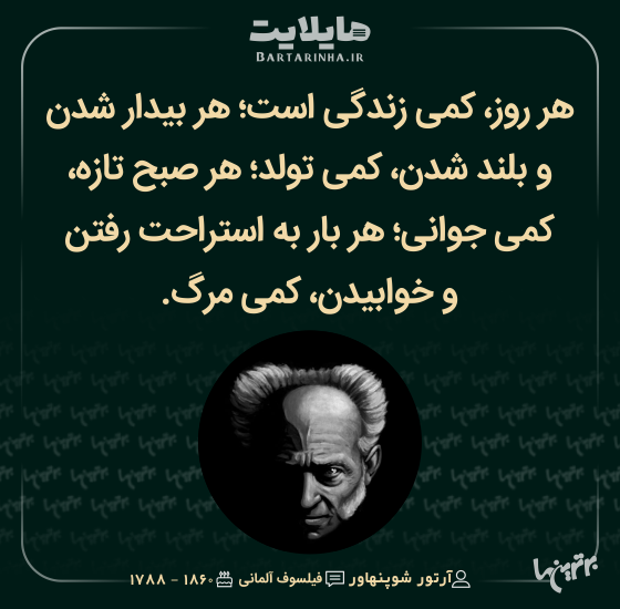 هایلایت (494) هایلایت (494)