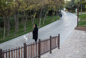 برخی از سالمندان شهرک غرب معمولا عصرها به همراه حیوانات خانگی خود در پارک ایران زمین پیاده روی می‌کنند.