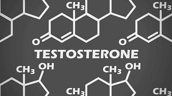 آزمایش تستوسترون و سطوح نرمال و غیر نرمال آن