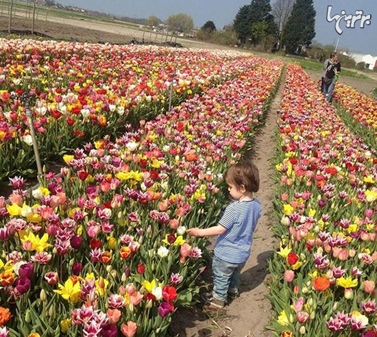 دانستنی های جالب که حالتان را خوب می کند