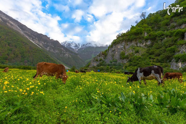 پیشنهاد نوروزی؛ به شهر‌های بهاری ایران سفر کنید