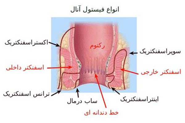 دکتر مهرداد رضایی