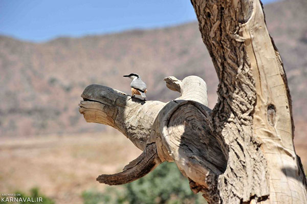 میمند شهربابک؛ روستایی صخره ای در کرمان