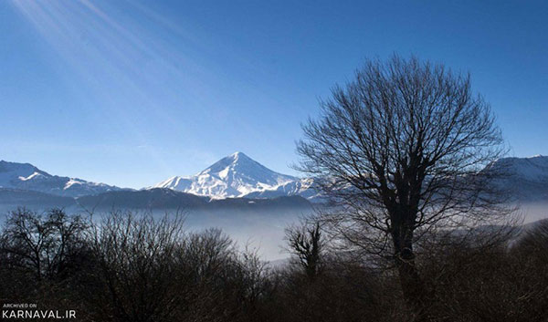 جنگل الیمستان