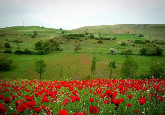 دیلمانِ گیلان؛ منظره‌ای شبیه یک تابلوی نقاشی