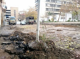 توضیح شهرداری تهران درباره نابودی درختان یک خیابان در مرکز شهر