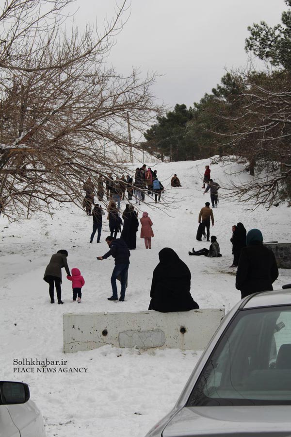 استقبال از برف زمستانی در چیتگر