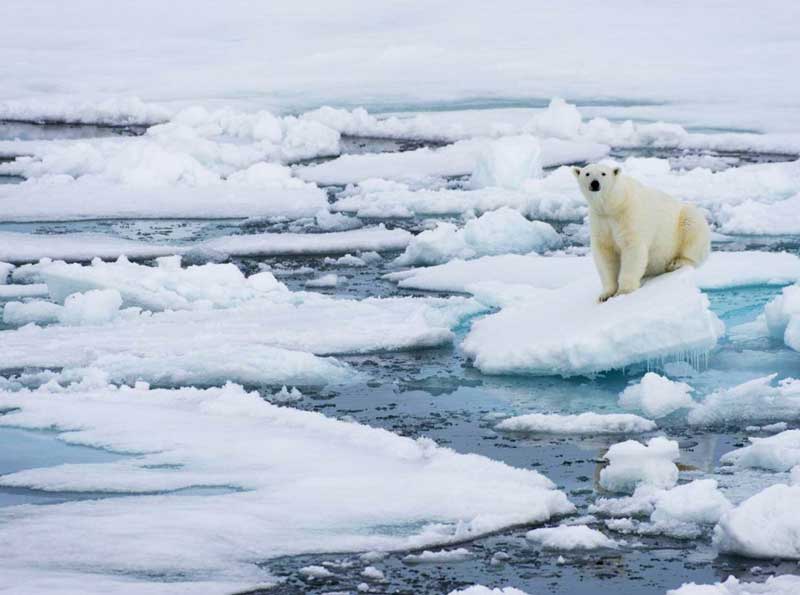 اقیانوس منجمد شمالی بدون یخ می‌شود