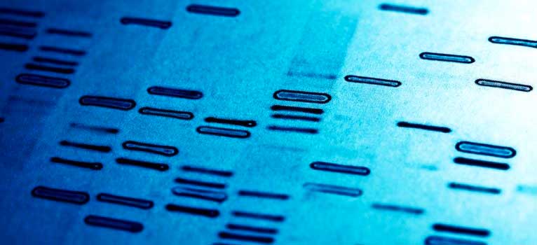 تجاری‌سازی تشخیص ژنتیکی ۱۰ بیماری در آمریکا