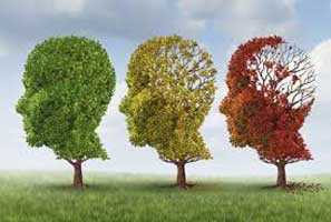 به چالش کشیدن مغز، راهی برای مبارزه با آلزایمر