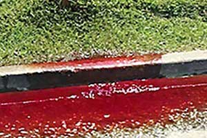 جاری شدن خون در یکی از قبرستان های آمریکا