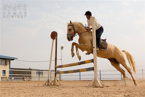 هفته اول مسابقات پرش اسب اصیل ترکمن