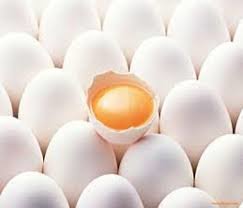 بعد از ورزش قدرتی خوردن تخم مرغ کامل موثرتر است یا خوردن سفیده؟