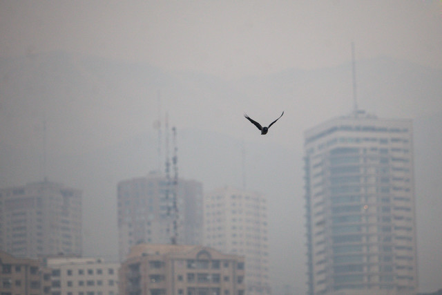 ویدئو / کاری که آلودگی هوا با سلامت انسان می‌کند