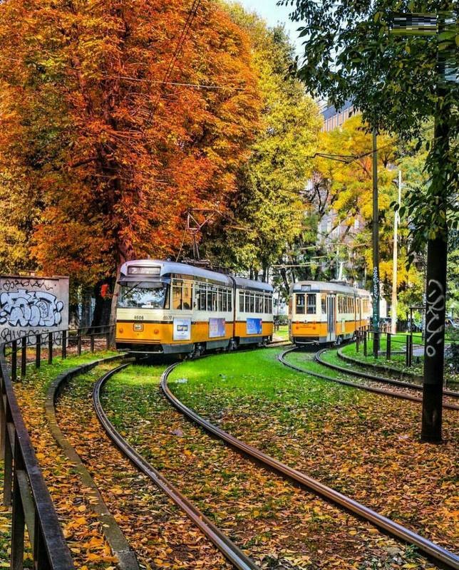 طبیعت زیبای پاییزی در میلان ایتالیا (عکس)