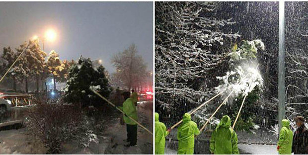 یخ زدایی از معابر و برف تکانی درختان در شمال تهران ادامه دارد