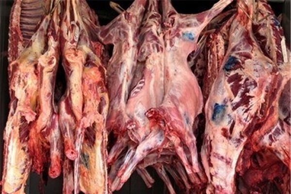افزایش۲هزارتومانی قیمت گوشت گوسفندی/کاهش نرخ پیش بینی نمی‌شود