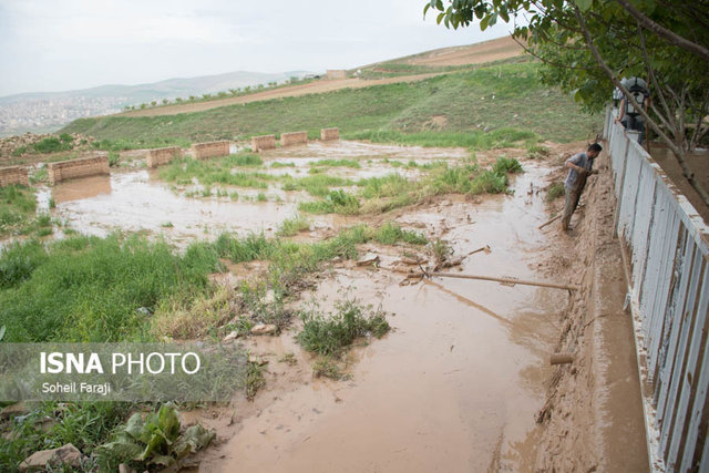 خسارت به شالیزارهای مازندران در پی وقوع سیل