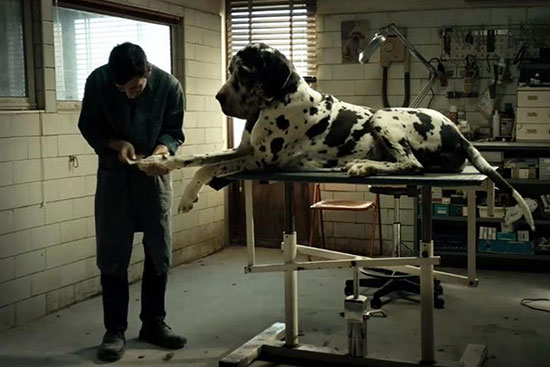 نقد فیلم مرد سگی Dogman: پرتره‌ای عالی از یک کله‌خر جنایتکار