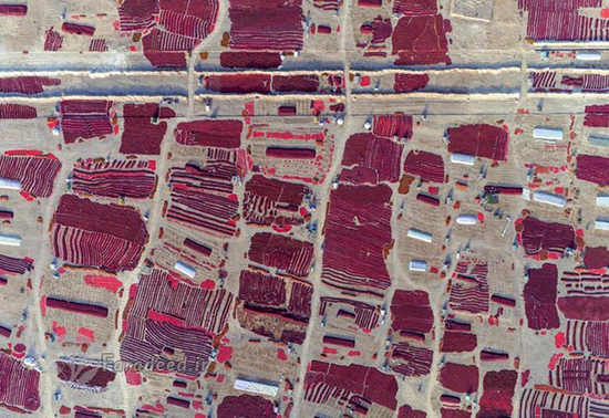 عکس‌های هوایی فوق العاده دیدنی از چین