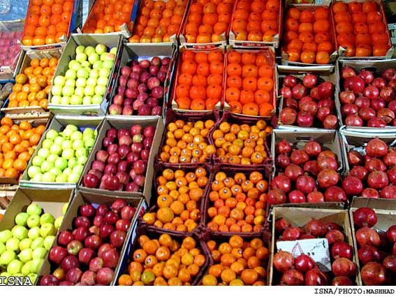 نرخ میوه در ایران نسبت به هزینه‌های آن گران نیست