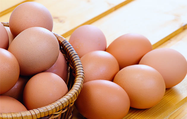 تخم‌مرغ‌های رنگی که خطرناکند – صلح خبر