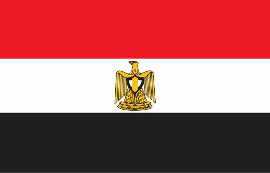 انهدام یک باند تروریستی در سینای مصر