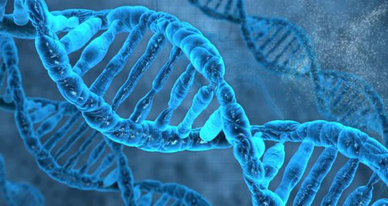 فناوری تغییر ژن یا کریسپر چیست و چه کاربرد‌های دارد؟