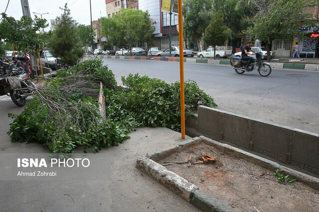 وقوع طوفان تندری در برخی مناطق کشور طی امروز و فردا