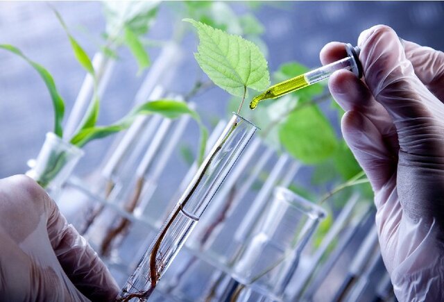 اجرای طرح‌های تحقیقاتی و تولیدی کشاورزی و دامپروری در دانشگاه آزاد ورامین